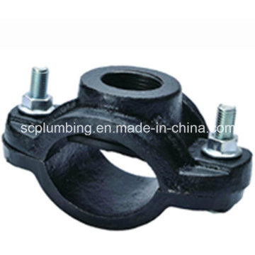 Tapping Saddle Fig. Sc111